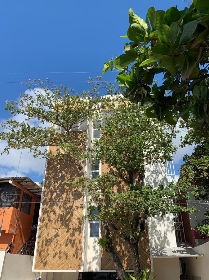 Oostel Smart Hostel - Tulum Pueblo (Adults Only) Экстерьер фото